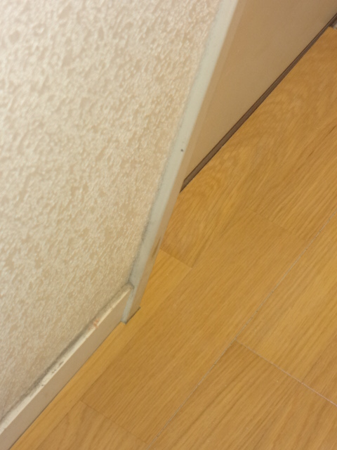 a0229594_1272100.jpg