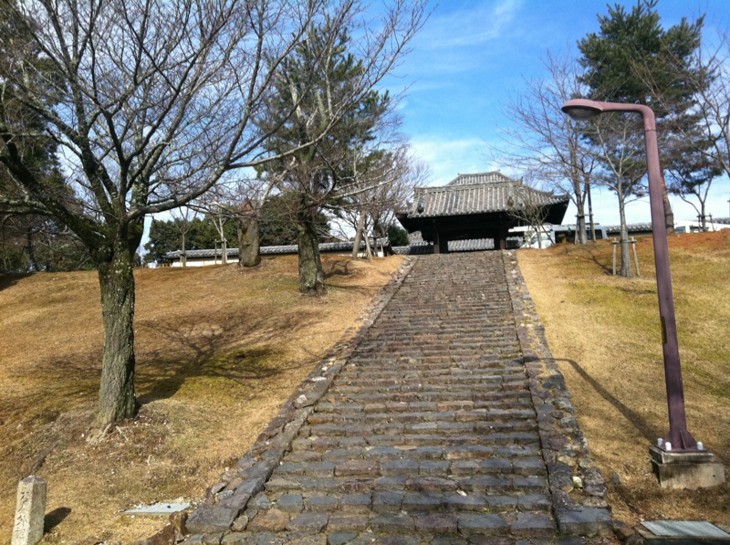 a0193496_0385253.jpg