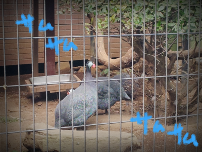 a0205596_14542110.png