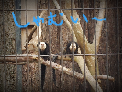 a0205596_145838100.png