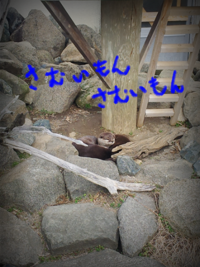a0205596_1501059.png