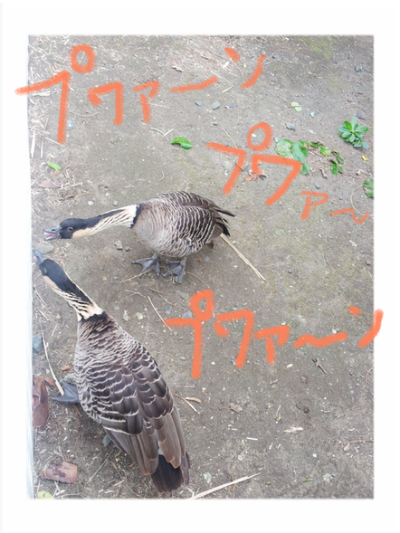 a0205596_1523082.png