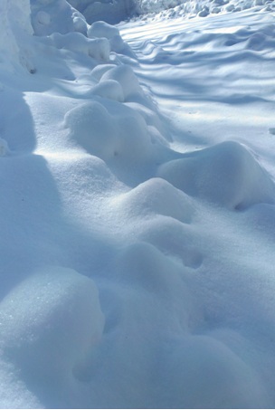 雪道さんぽ　～5ヵ月半のちび様と一緒に～_c0062796_21375729.jpg