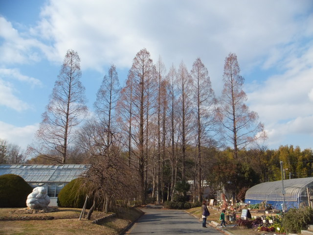 a0271502_1022876.jpg