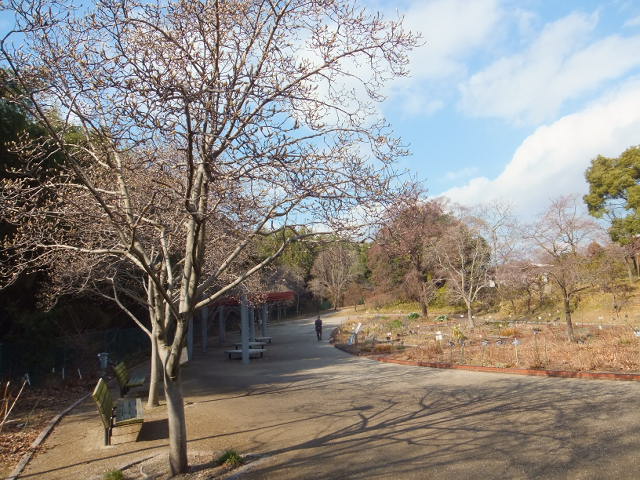 a0271502_9125352.jpg