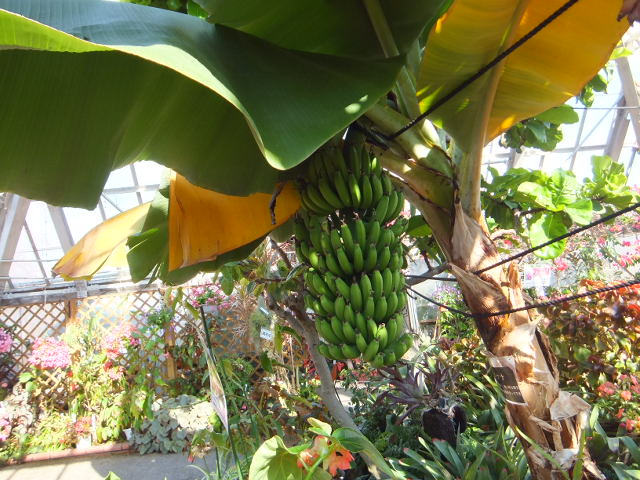 a0271502_9165661.jpg