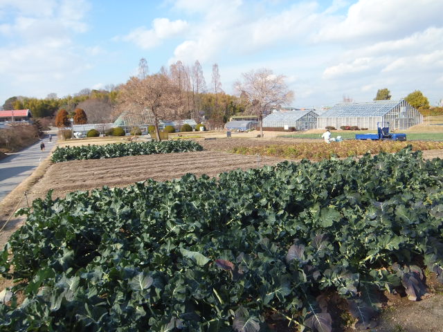 a0271502_9212335.jpg