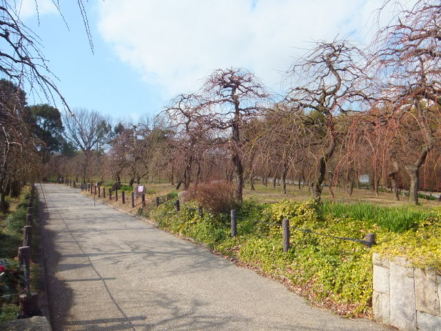 a0271502_931515.jpg