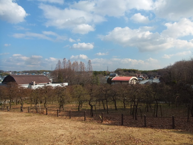 a0271502_98819.jpg