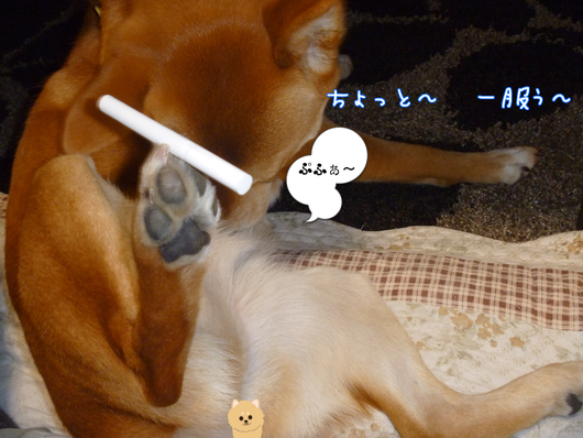 b0283404_15264525.png