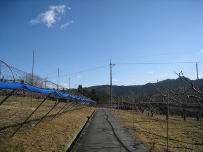 d0116205_19123392.jpg