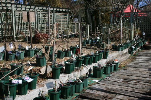 a0139007_1842370.jpg