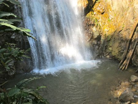b0051109_11485196.jpg