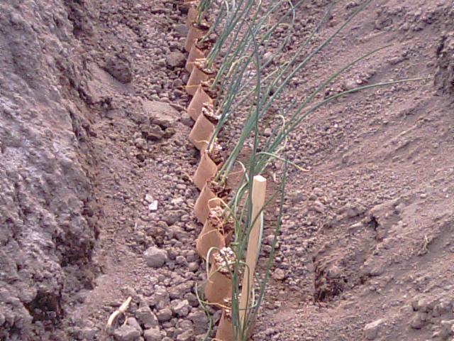 f0231709_20511955.jpg