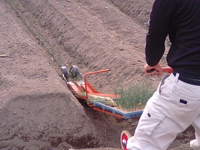 f0231709_20513454.jpg