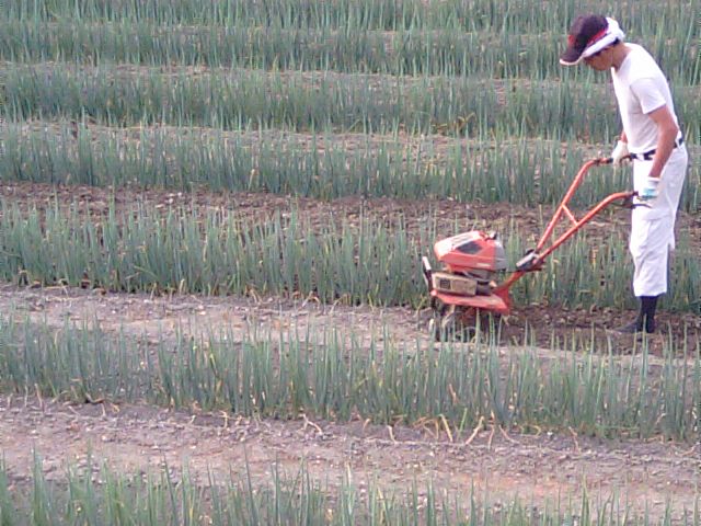 f0231709_20532712.jpg