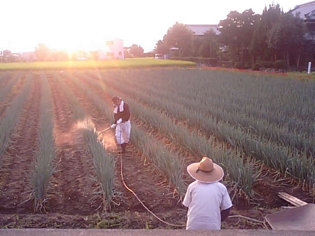 f0231709_20561055.jpg