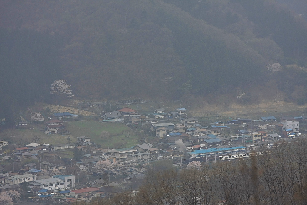 パレオファーストラン - 2012年春・秩父 - _b0190710_23205611.jpg