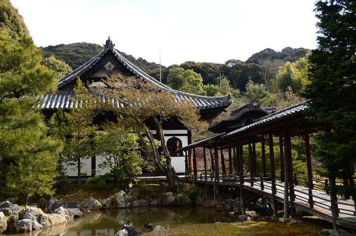 鷲峰山　高台寺（臨済宗　建仁寺派）_c0184716_235185.jpg