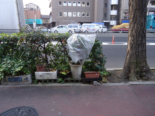 d0225727_8182212.jpg
