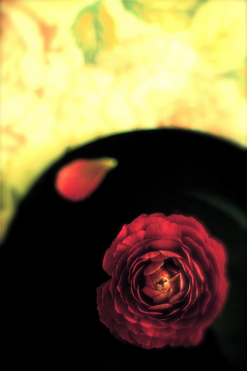 e0044929_15605.jpg