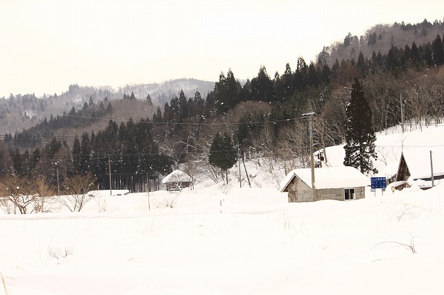 a0045932_1421321.jpg
