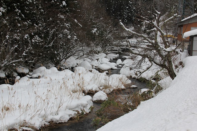 a0045932_14245927.jpg