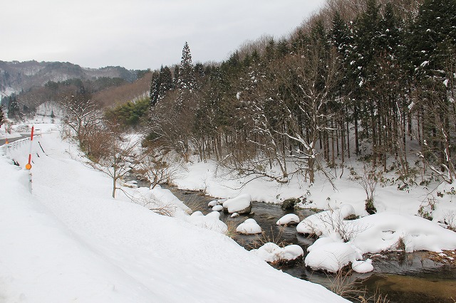 a0045932_1425894.jpg