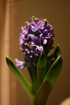 f0002534_2033649.jpg