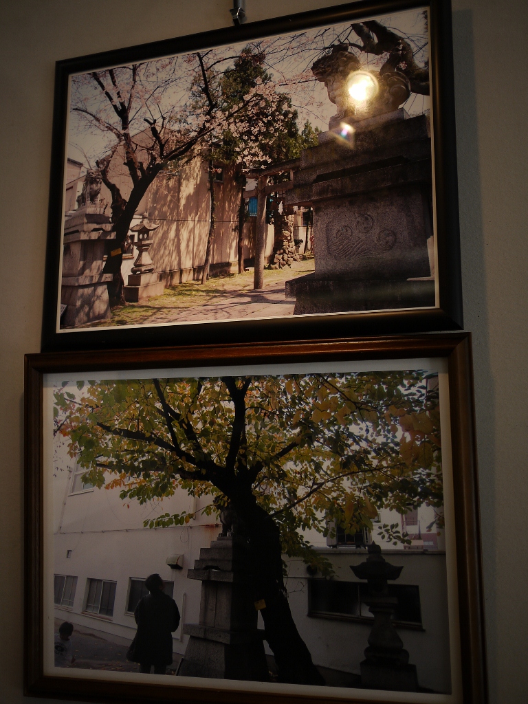 第5回被爆樹写真展_b0190540_16201145.jpg