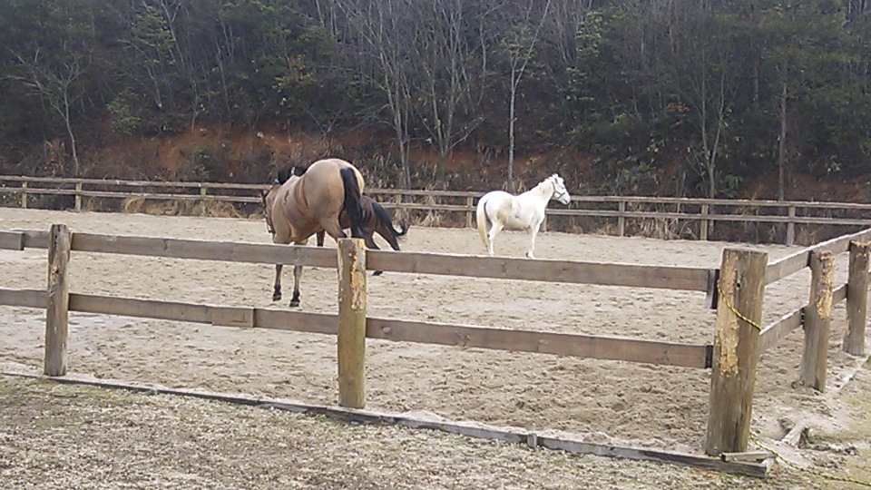 e0145441_2010423.jpg