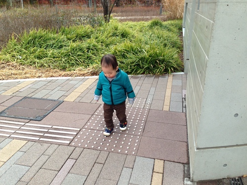 赤ちゃんホイホイ_a0267942_18314599.jpg