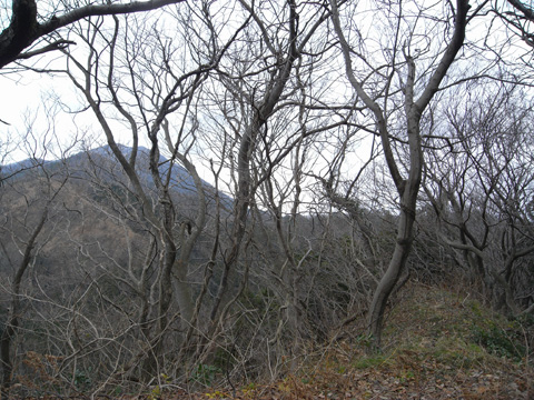 戦国散歩・黒滝城その2_b0145843_062643.jpg