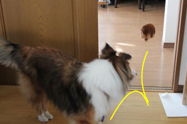 犬猿の~・・・おもちゃ_e0195743_3343874.jpg