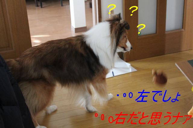 犬猿の~・・・おもちゃ_e0195743_3352419.jpg