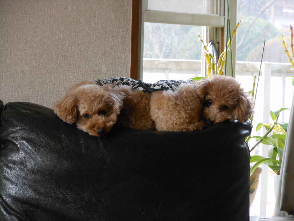 c0122744_2011124.jpg