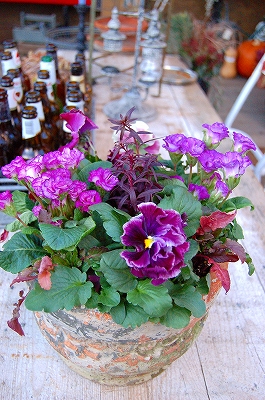 e0025655_1820082.jpg
