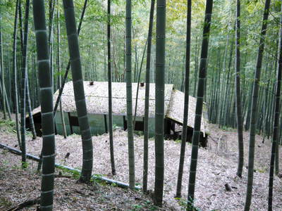 幻の白い「長生たけのこ」は独特な土壌で育つのです!!_a0254656_1715441.jpg