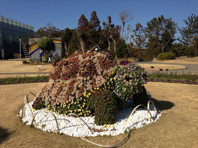 日本一早い、チューリップ☆_f0109257_19412538.jpg