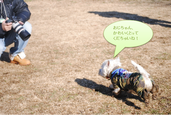 b0242873_1195077.png