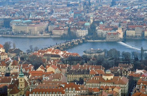e0116578_957376.jpg