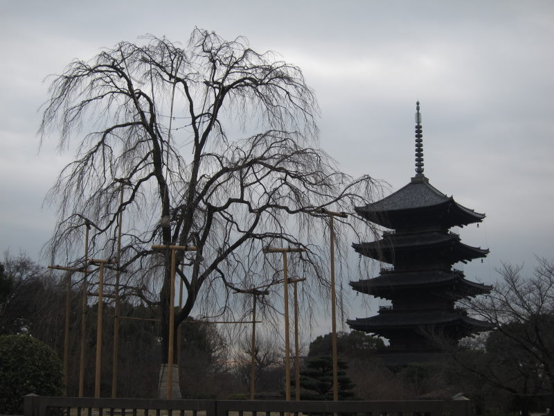七福神参りで東寺？？-京都・都七福神巡りポタリング③_e0138081_1141216.jpg