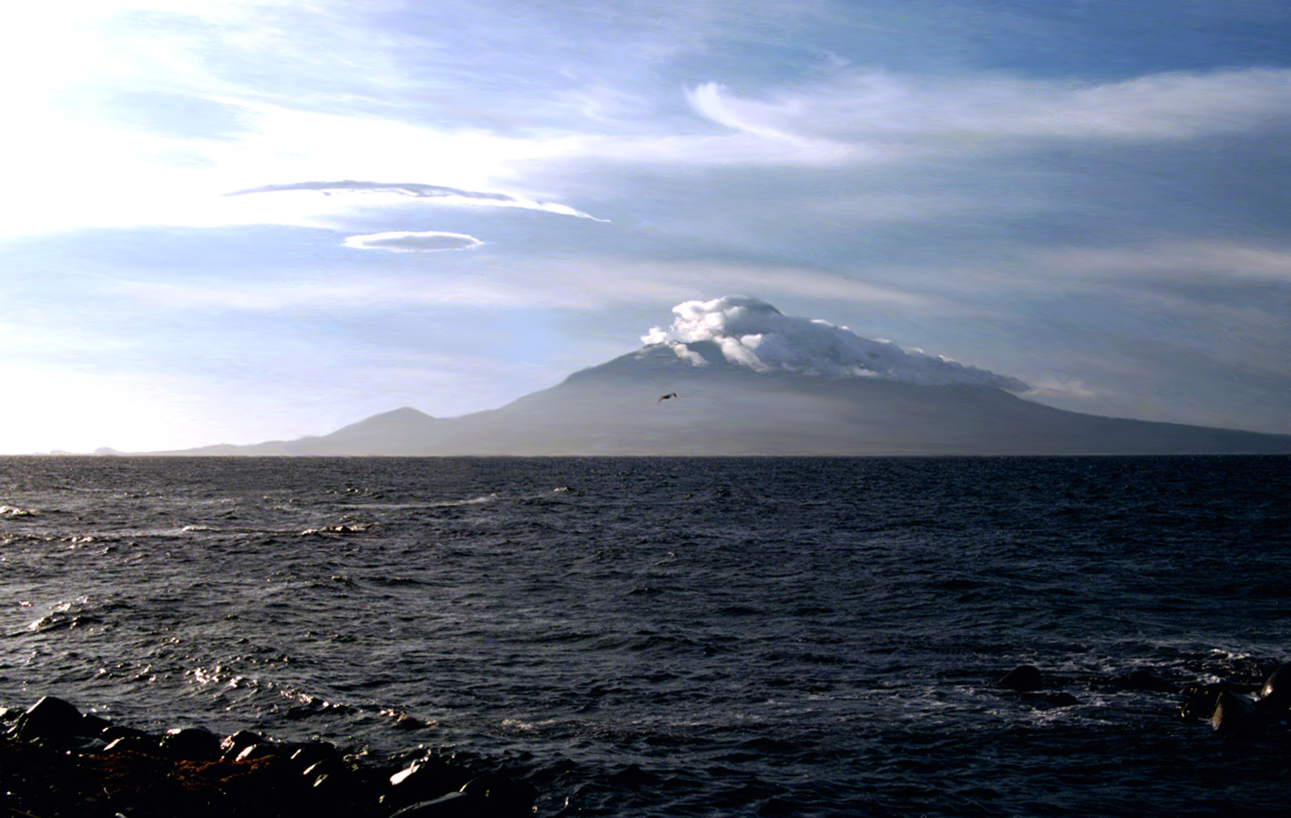 a0110584_2353529.jpg