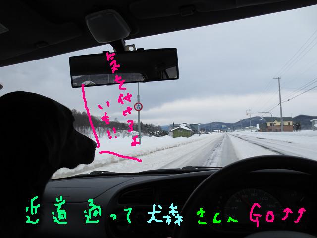 e0160787_18134963.jpg