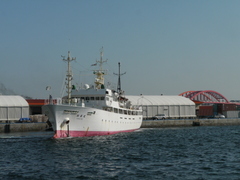 b0192588_12133242.jpg