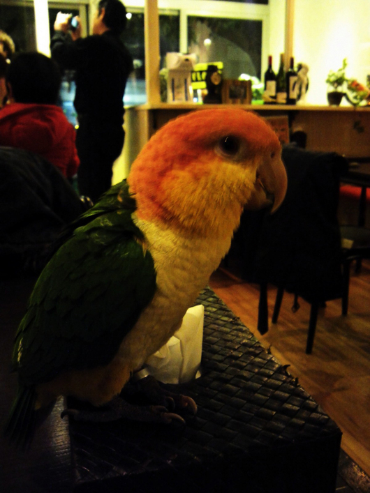 d0214690_11501248.jpg
