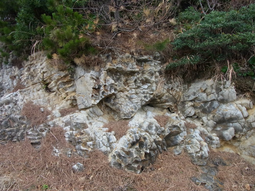 c0168891_16254399.jpg