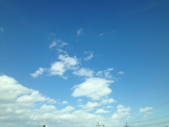 ここんとこ_d0112893_1625855.jpg