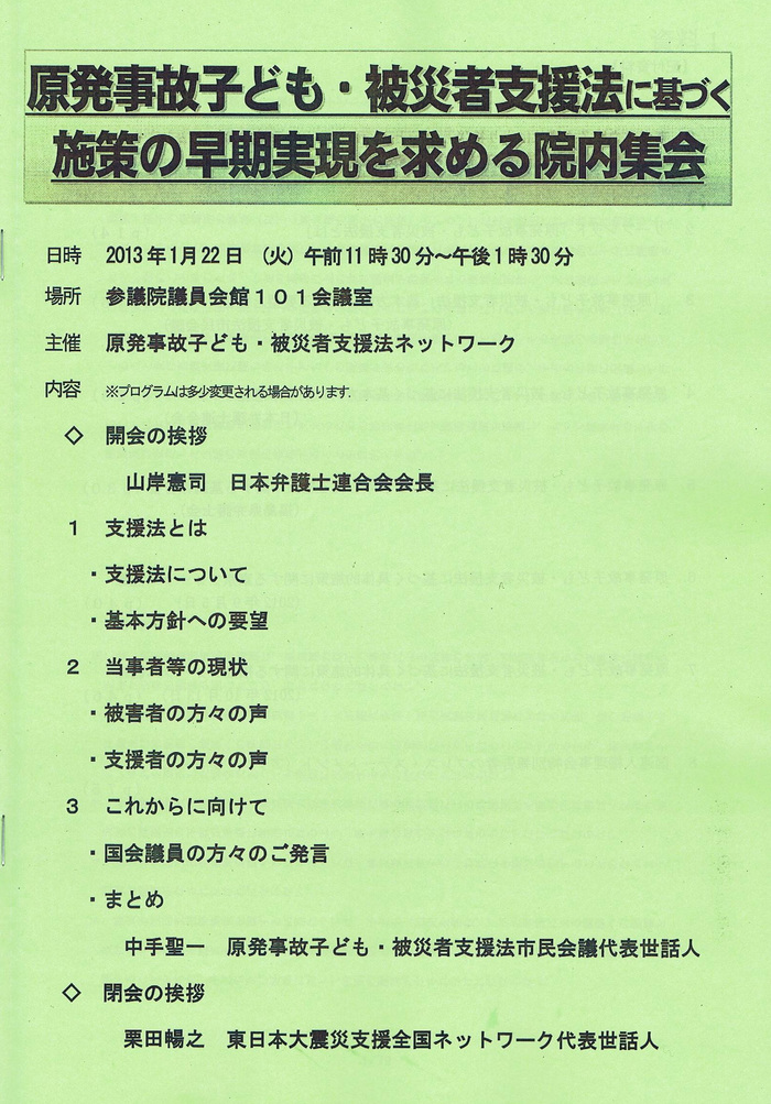 参議院選に向けて、まるこ安子の決意と【脱原発総選挙】_a0073000_1025693.jpg