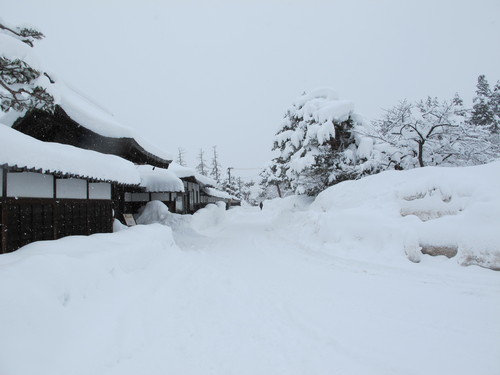 雪が降る、首にマフラー、帽子を頭に、カメラを片手に歩いて工学部へ（９）_c0075701_199370.jpg